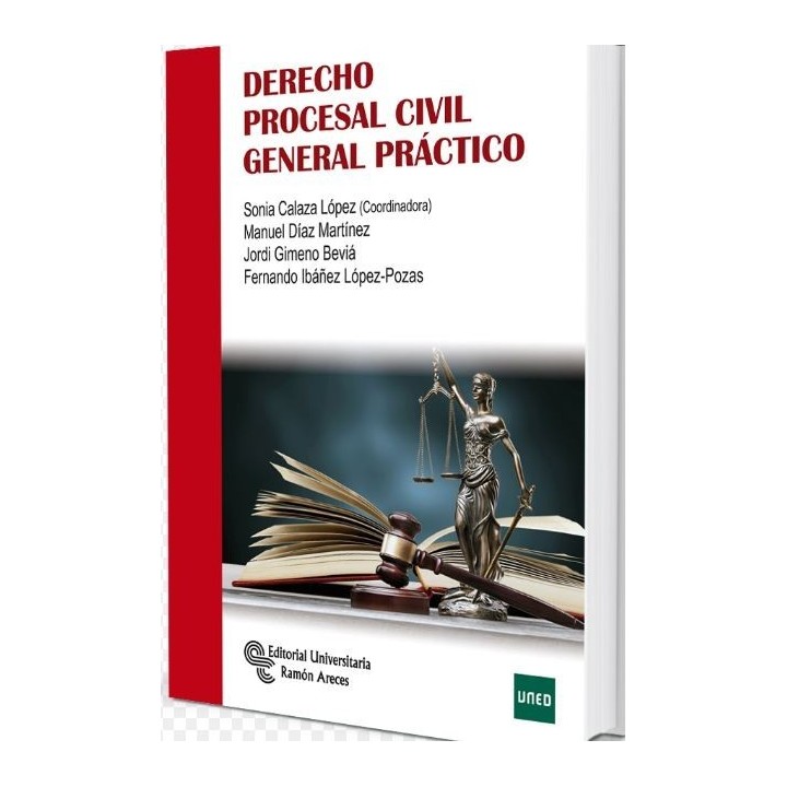 Derecho procesal civil general práctico