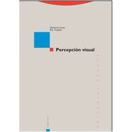 Percepción visual