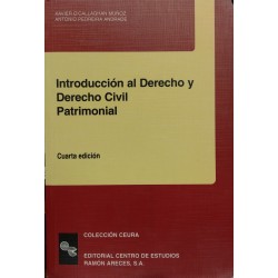 Introducción al Derecho y Derecho civil patrimonial