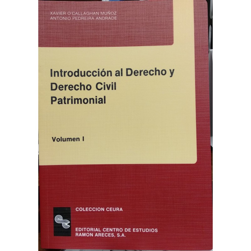 Introducción al Derecho y Derecho civil patrimonial