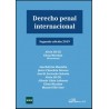 Derecho penal internacional