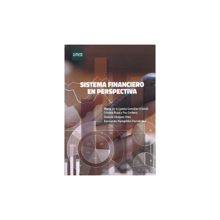 Sistema financiero en perspectiva