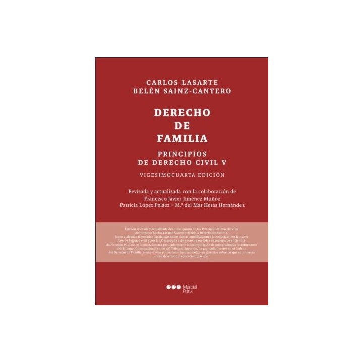 Principios de derecho civil V. Derecho de familia