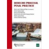 Derecho procesal penal práctico