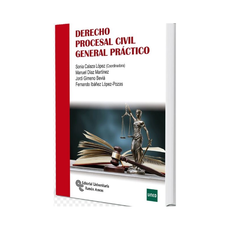 Derecho procesal civil general práctico