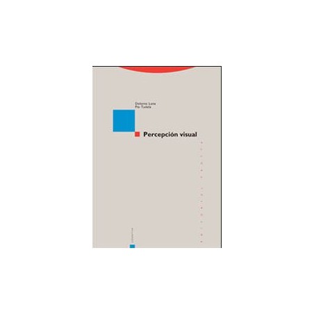 Percepción visual