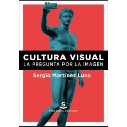 Cultura visual