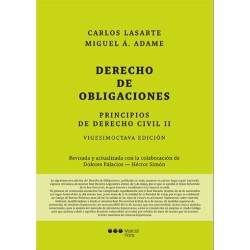 Principios de Derecho civil...