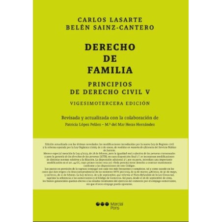 Principios de derecho civil V. Derecho de familia