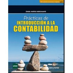 Prácticas de introducción a la contabilidad