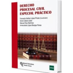 Derecho procesal civil especial práctico