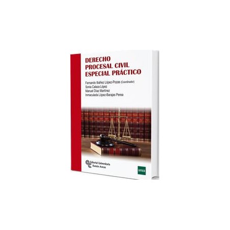 Derecho procesal civil especial práctico