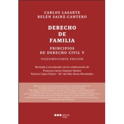 Principios de derecho civil...