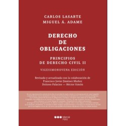 Principios de Derecho civil...